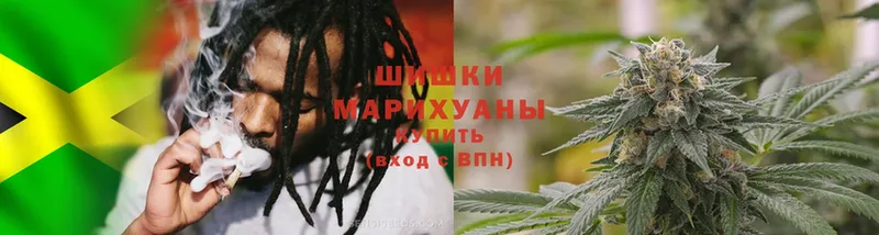 мориарти формула  Кувшиново  Шишки марихуана SATIVA & INDICA 